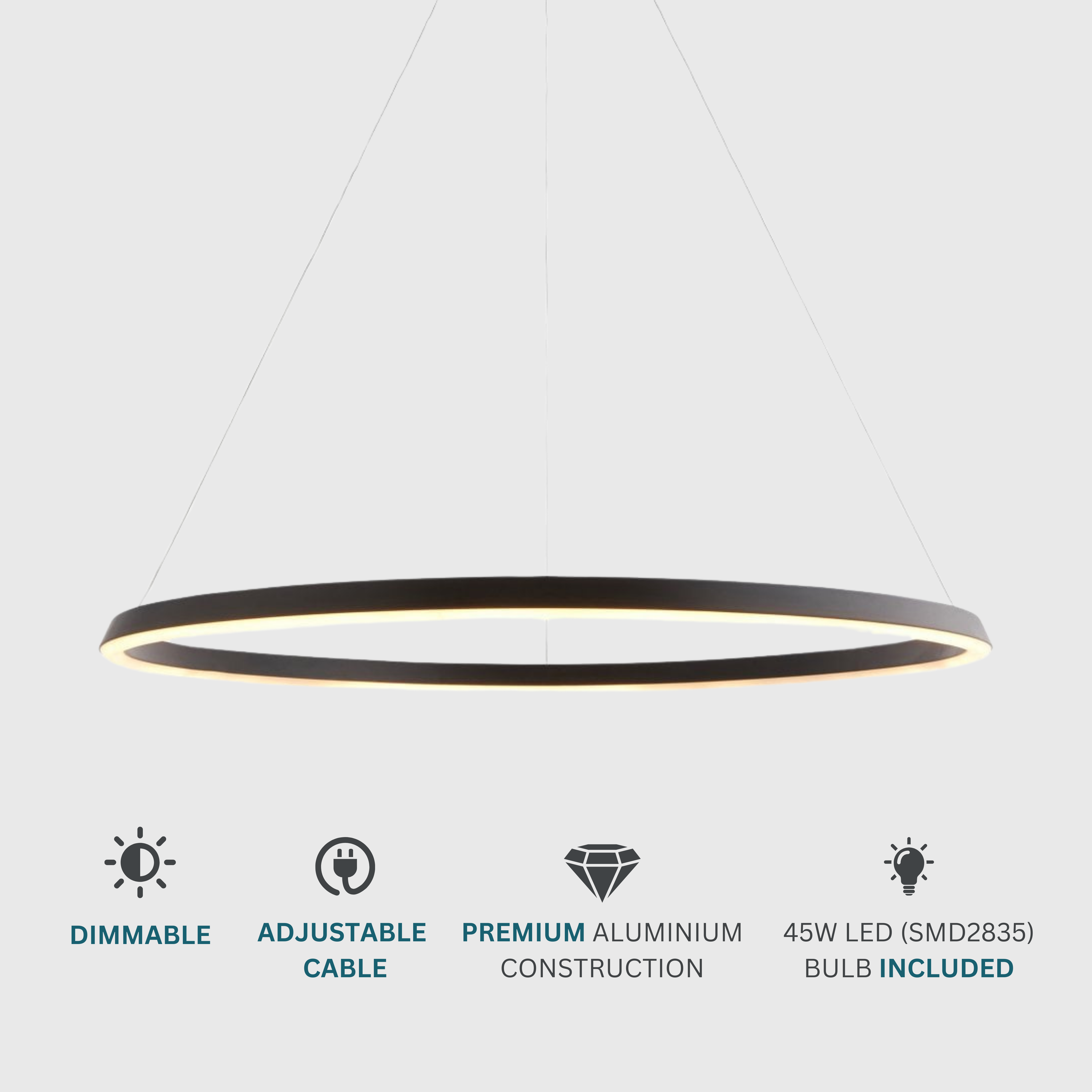 Architectural  Circular Pendant Light - Black